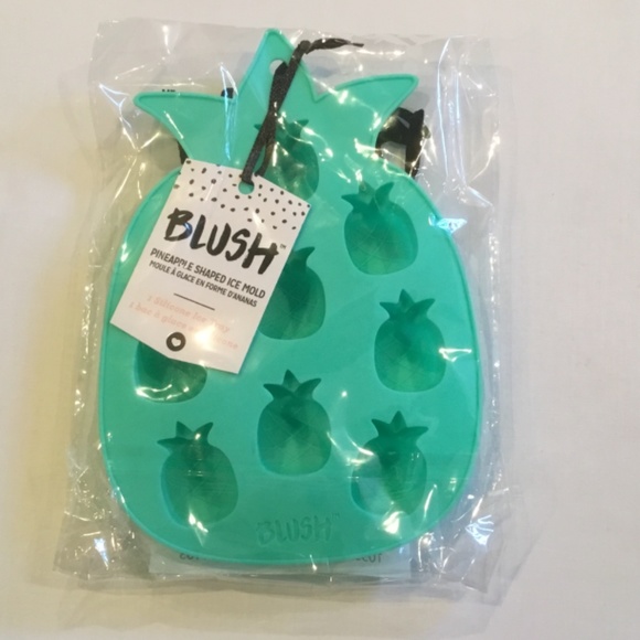 Blush Pineapple Shaped Ice Mold - Picture 2 of 2